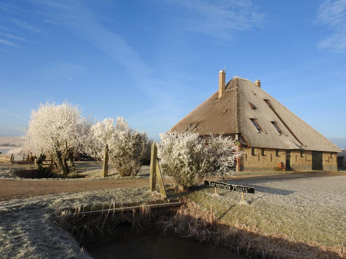 Zoute Bries, In Natuurgebied En Vlakbij Het Strand Callantsoog Eksteriør billede
